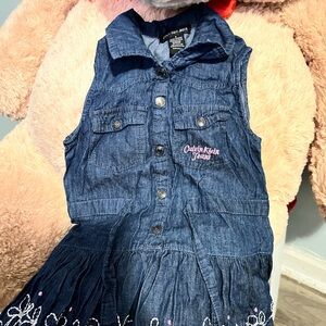 Calvin Klein Jeans Denim Dress